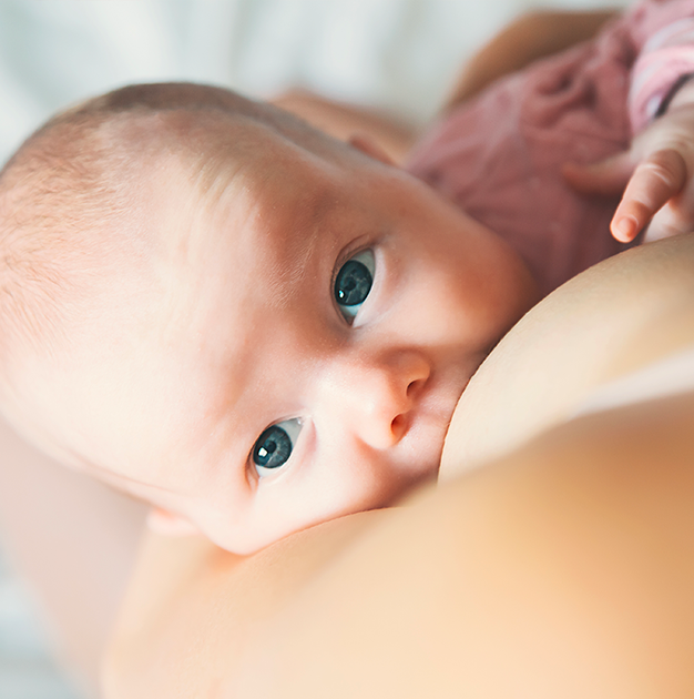 Maternity & Postpartum - Baby Bubble